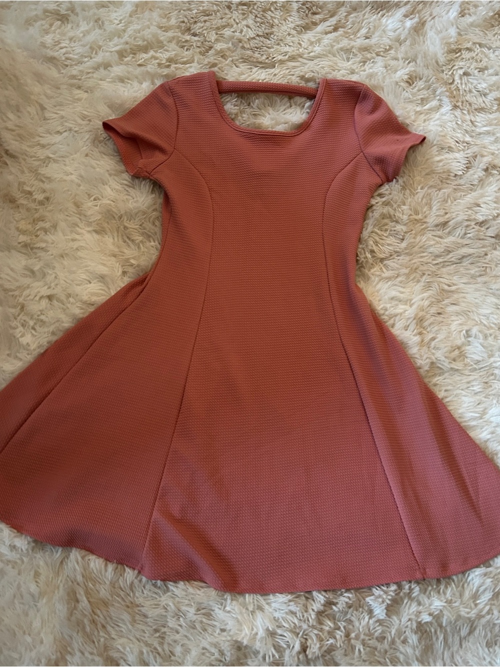 Olivia Rae Textured Short-Sleeve Fit & Flare Dress in Rose